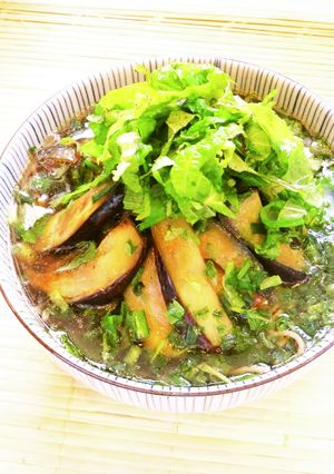 ☺夏はひんやり☆簡単♪冷やし茄子そば☺-レシピのメイン写真