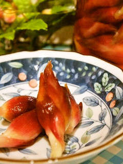 色々使える♪綺麗に色づくミョウガの甘酢漬-レシピのメイン写真