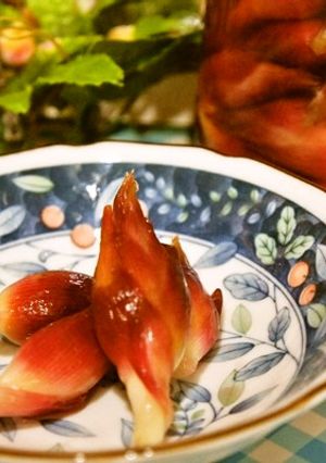 色々使える♪綺麗に色づくミョウガの甘酢漬-レシピのメイン写真