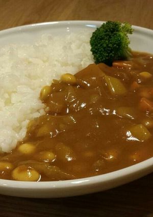 畑のお肉水煮大豆でヘルシーカレー♪-レシピのメイン写真