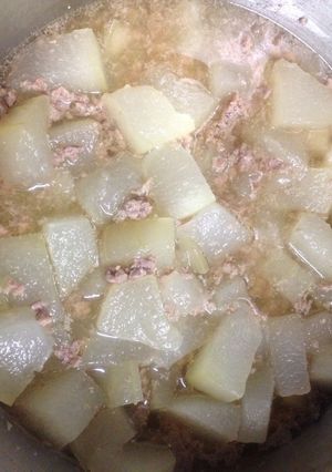 トロトロ絶品冬瓜のそぼろ煮-レシピのメイン写真