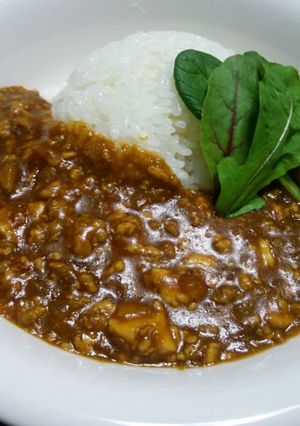 大山五右衛門豆腐で簡単和風カレー-レシピのメイン写真