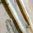 ごぼうの皮のむきかた