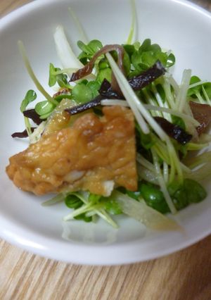きくらげ・玉ねぎ・貝割れ菜のポン酢和え-レシピのメイン写真