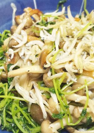 豆苗じゃこ茸のマーガリン炒め-レシピのメイン写真