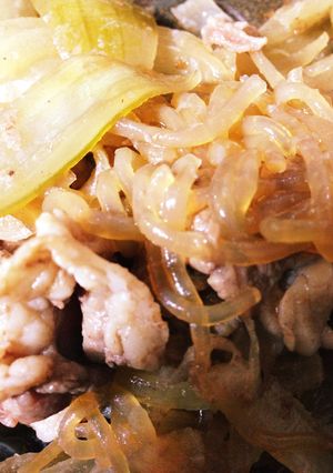 家族も喜ぶダイエット牛丼-レシピのメイン写真
