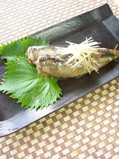 鰯(いわし)のふっくら生姜煮。-レシピのメイン写真