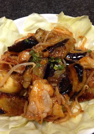 ナスと鶏肉のチリ炒め☆-レシピのメイン写真