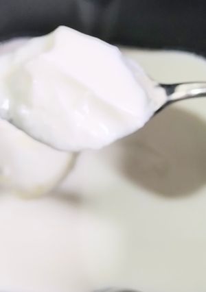 ヨーグルト手作り-レシピのメイン写真