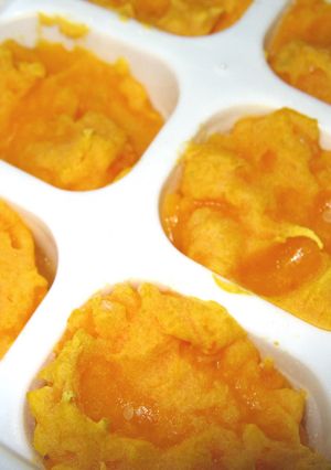 離乳食に☆かぼちゃのペースト-レシピのメイン写真