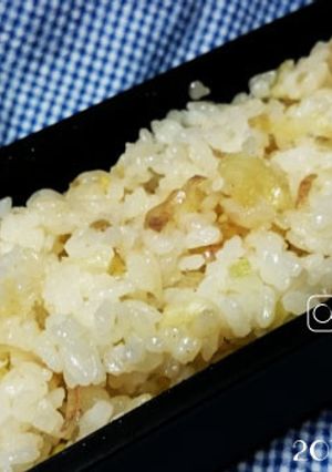 ★1人前~OK★即席ミョウガご飯-レシピのメイン写真