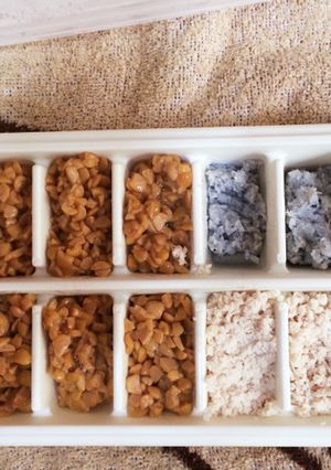 離乳食中期 保存方-レシピのメイン写真