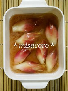 mみょうがの甘酢漬け-レシピのメイン写真