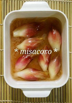 mみょうがの甘酢漬け-レシピのメイン写真