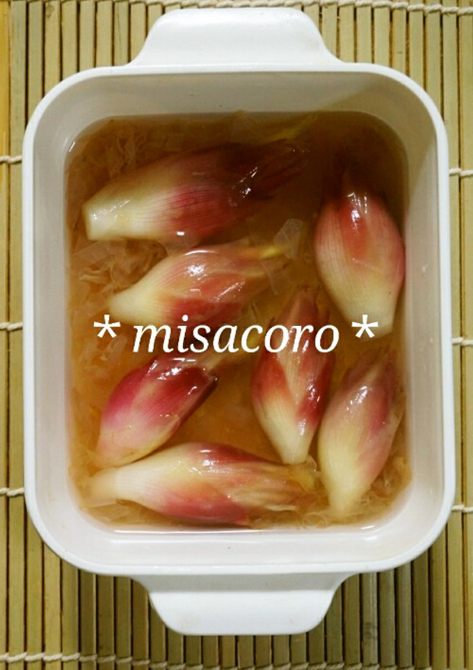 mみょうがの甘酢漬け-レシピのメイン写真