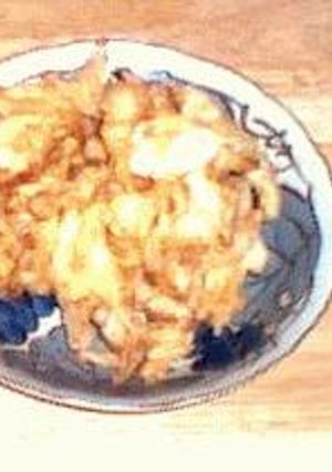 鶏と玉ネギのかき揚げ-レシピのメイン写真