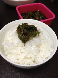 ネギご飯-レシピのメイン写真