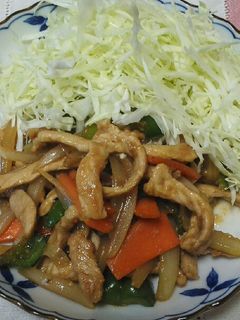 トンカツ用の肉で生姜焼き~野菜入り~-レシピのメイン写真