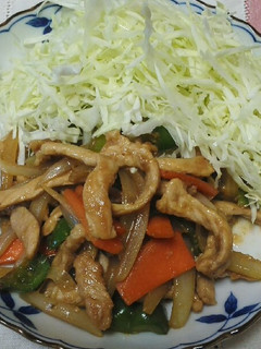 トンカツ用の肉で生姜焼き~野菜入り~-レシピのメイン写真