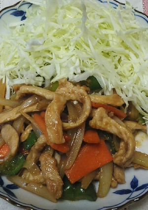 トンカツ用の肉で生姜焼き～野菜入り～-レシピのメイン写真