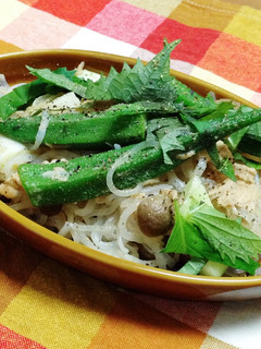 ずぼらメシ☆オクラと大葉でしらたきパスタ-レシピのメイン写真