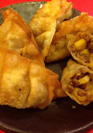 残り物のキーマカレーで揚げ餃子-レシピのメイン写真