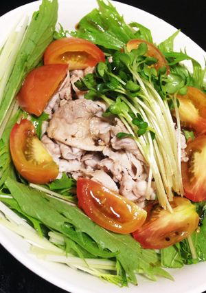 冷しゃぶと水菜のサラダ-レシピのメイン写真