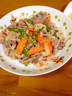 簡単豚肉の野菜たっぷり塩麹炒め-レシピのメイン写真