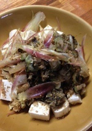 なすと豆腐のおかずにもなるサラダ☆-レシピのメイン写真