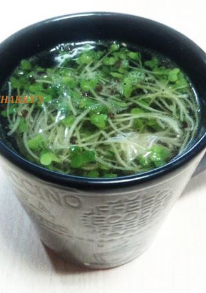 思い立ったらすぐ！簡単スプラウトスープ★-レシピのメイン写真