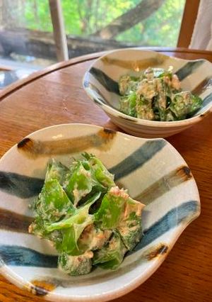 四角豆とオクラのかつおマヨ和え-レシピのメイン写真