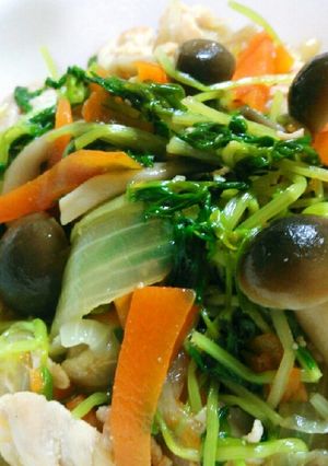 簡単♪豆苗と豚肉の炒めもの♥-レシピのメイン写真