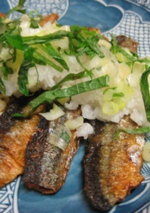 秋刀魚フィレ-レシピのメイン写真