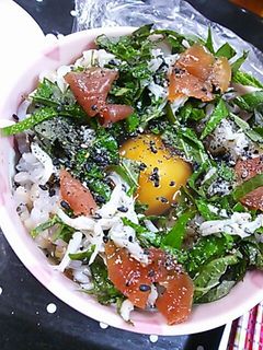梅しそ卵かけごはん~+しらす-レシピのメイン写真