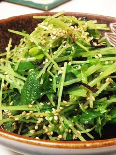 豆苗の塩昆布和え-レシピのメイン写真