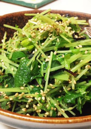 豆苗の塩昆布和え-レシピのメイン写真