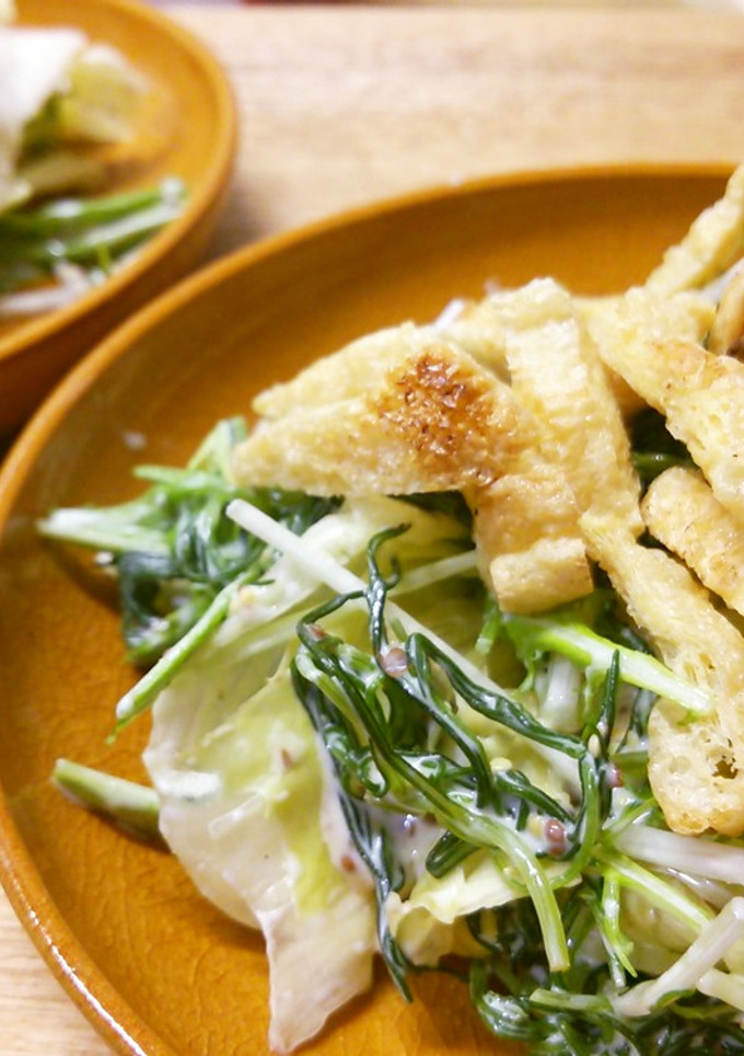 油揚げで食感UP♪丘ひじきと水菜のサラダ-レシピのメイン写真