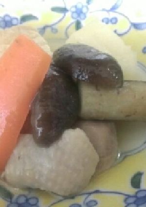 ほっとするお煮しめ-レシピのメイン写真