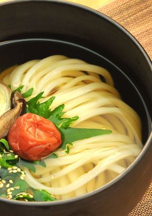 残暑の疲労回復に！？梅干しかけうどん-レシピのメイン写真