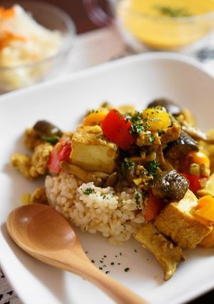 厚揚げとたっぷり野菜のドライカレー-レシピのメイン写真