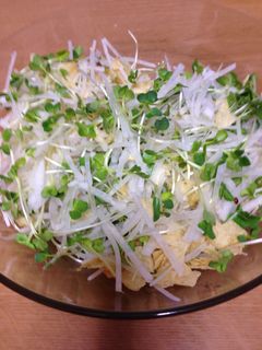 ポン酢で簡単!大根サラダ-レシピのメイン写真