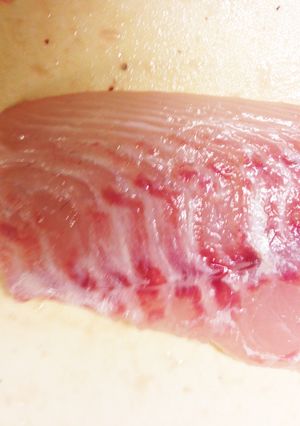 ☆お魚のさばき方☆ 〜鯛編〜-レシピのメイン写真