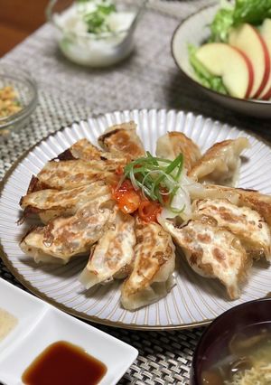 野菜たっぷり大葉餃子-レシピのメイン写真