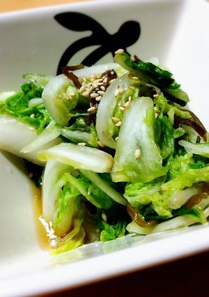 パパ特製✴白菜の浅漬け(^^)v-レシピのメイン写真