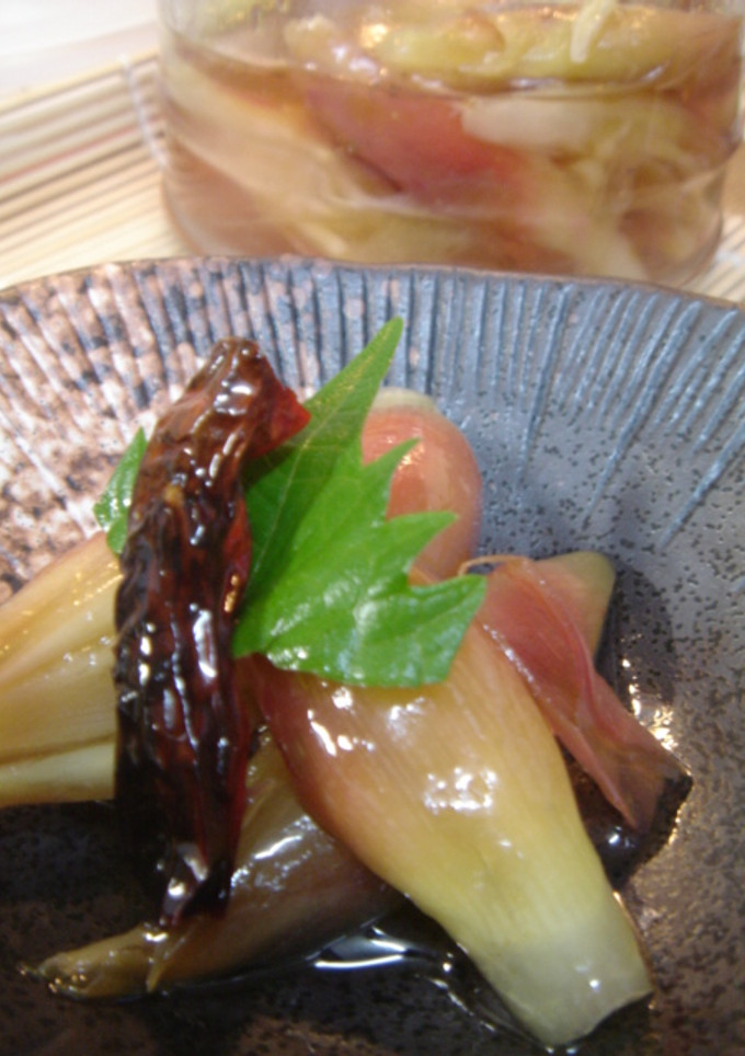 みょうがの中華風酢漬け-レシピのメイン写真
