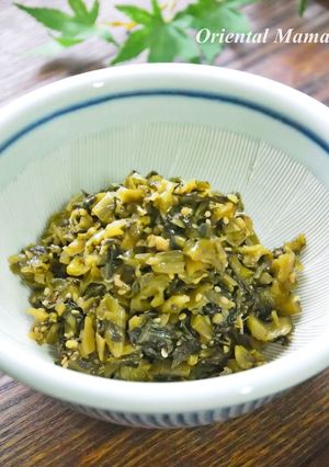 発酵パワー！高菜ニンニク醤油炒め-レシピのメイン写真