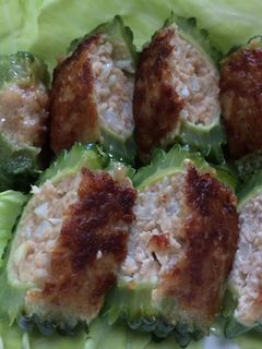 簡単☆ゴーヤの肉詰め-レシピのメイン写真