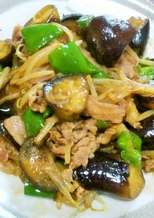 ご飯がすすむ!夏の肉野菜オイスター炒め-レシピのメイン写真