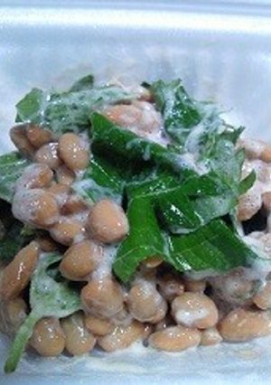 大葉と塩で味わい爽やか納豆-レシピのメイン写真