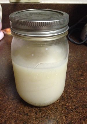 アメリカで自家製ラードを作る方法-レシピのメイン写真